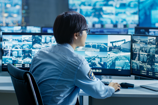 Serviços de Vigilância